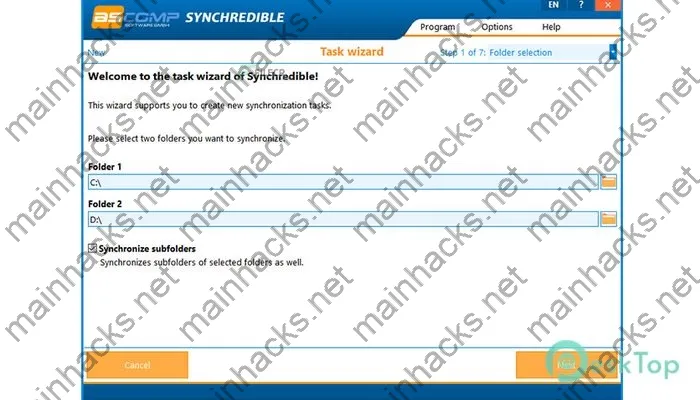 Synchredible Professional Activation key